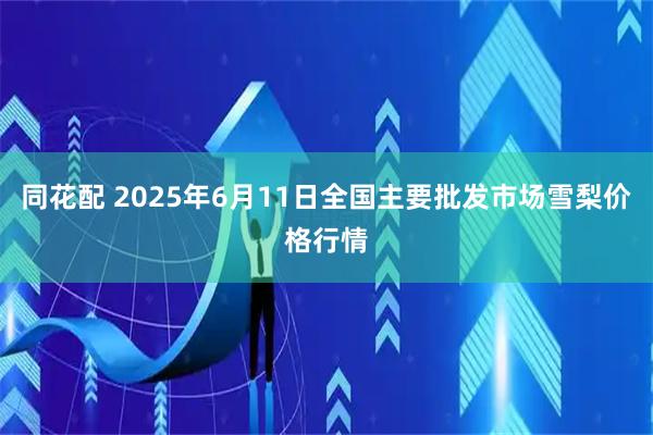 同花配 2025年6月11日全国主要批发市场雪梨价格行情