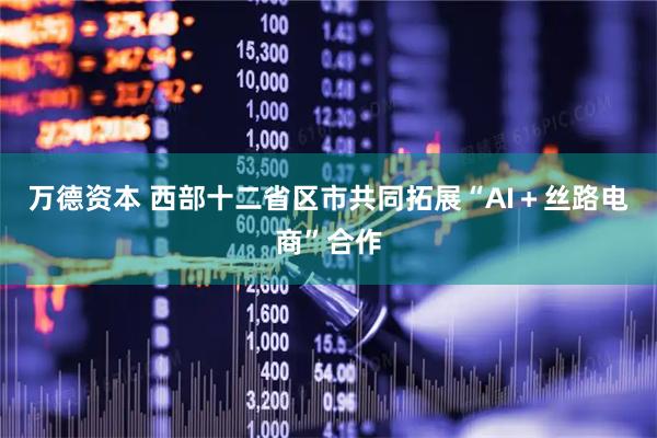 万德资本 西部十二省区市共同拓展“AI＋丝路电商”合作
